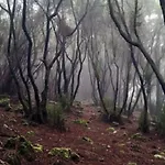 아파트 La Casita De Descanso - Haeuschen Der Ruhe - La Luz -