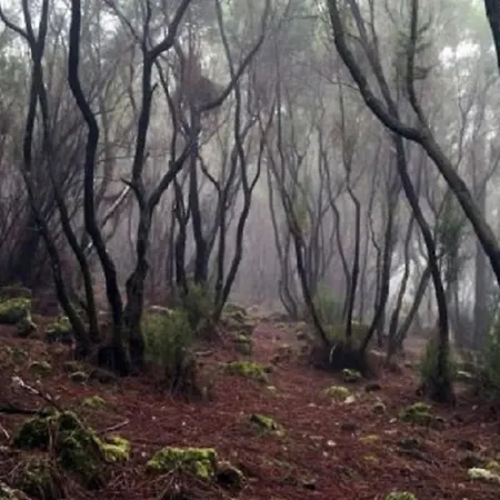 Appartement La Casita De Descanso - Haeuschen Der Ruhe - La Luz -